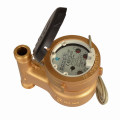 Multi Jet Wet Type Vane Wheel Water Meter (MJ-LFC-F2-3)